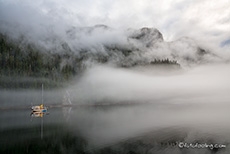 mystischer Morgen, Khutzeymateen Grizzly Bear Sanctuary