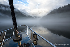 wir gleiten durch den Nebel im Khutzeymateen Grizzly Bear Sanctuary