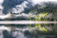 toll wie die Sonne die Landschaft anstrahlt, Khutzeymateen Grizzly Bear Sanctuary