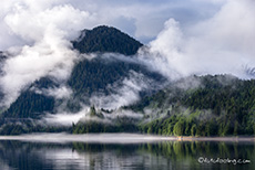 hohe Berge im Nebel, Khutzeymateen Grizzly Bear Sanctuary