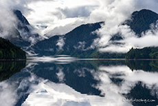 auch die Spiegelung begeistert uns, Khutzeymateen Grizzly Bear Sanctuary