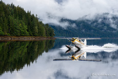 unser Wasserflugzeug, Khutzeymateen Grizzly Bear Sanctuary