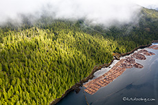 Holzindustrie vor Prince Rupert