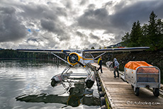 wir sind wieder zurück in Prince Rupert