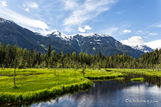 am Fish Creek, Hyder, Alaska