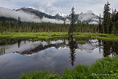 kurz vor Hyder, Alaska