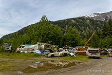 auf der Dumpstation von Hyder, Alaska