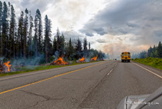 gezielte Brandrodung, British Columbia, Kanada