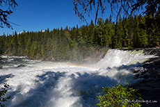 die Dawson Falls mit Regenbogen