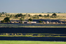 Hochwasser am Chobe