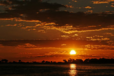 Chobe Sundowner