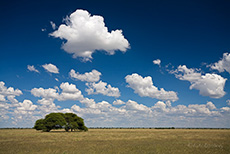 Wolkenstimmung ber der Tau Pan