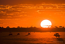 Sonnenuntergang ber der Tau Pan