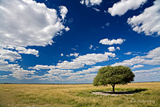 Wolkenstimmung ber der Tau Pan