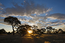 Sonnenuntergang in Mabuasehube