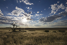 Aussicht ber Mabuasehube Pan