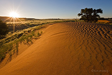 Dünen im Sonnenuntergang