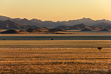 Sonnenaufgang über den Tirasbergen