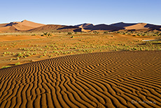 Strukturen im Sand