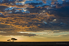 Sonnenaufgang im Etosha NP