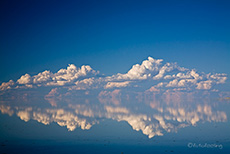 Land unter im Etosha NP