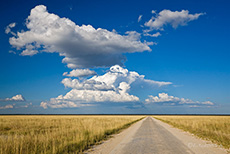 Wolkenstimmung im Etosha NP