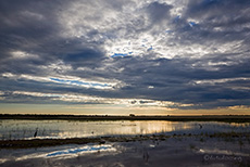 Sonnenaufgang im Etosha NP