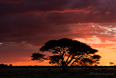 Sonnenuntergang an der Kori Pan