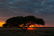 frühmorgens an der Kori Pan