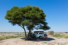 unsere Campsite an der Phokoje Pan