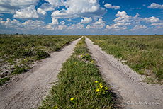 endlose Weite der Kalahari