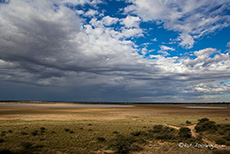 Aussicht von der Mabuasehube Pan Campsite 1