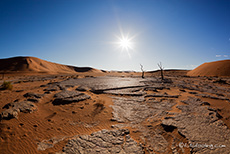 Ein totes Vlei in der Namib