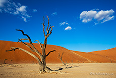 Wolken über dem Deadvlei