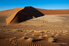 Das Hiddenvlei