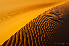 Strukturen im Sand der Namib