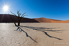 Lange Schatten im Deadvlei