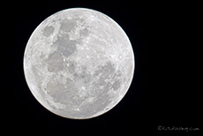 Vollmond über dem Etosha Nationalpark