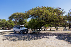 Unsere Campsite auf Namutoni, Etosha Nationalpark