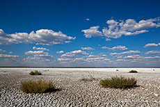 Ausgetrocknete Fisher´s Pan, Etosha Nationalpark