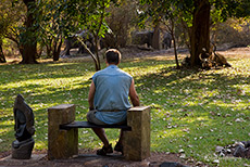 Elefantenbesuch in der Lodge