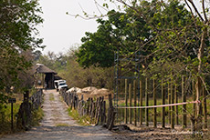 North Bridge über dem Khwai, Moremi Nationalpark