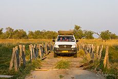 Eine der vielen Holzbrücken im Moremi Nationalpark