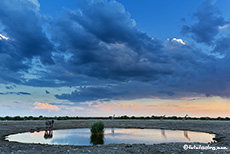 Klein Namutoni Wasserloch, Etosha Nationalpark, Namibia