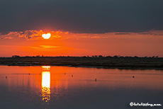 Sonnenaufgang über der Fisher´s Pan, Etosha Nationalpark, Namibia