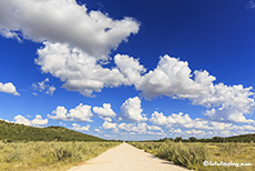 Piste im Westteil, Etosha Nationalpark, Namibia