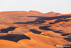 Licht und Schatten in den Dünen