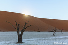 Die Sonne erreicht das Deadvlei