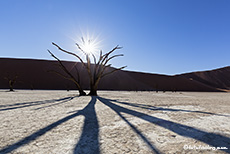 Lange Schatten im Deadvlei