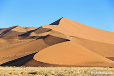 Dünenlandschaft in der Namib